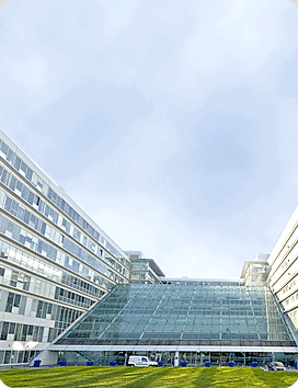 Ayudas Campus de Excelencia Internacional El campus excelencia busca colocar a las universidades españolas entre las mas importantes de europa. 18 universidades publicas y privadas han superado la primera fase de este campus de excelencia